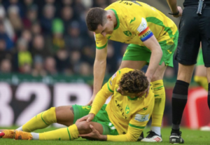 BEYOND CORTICOSTEROIDS: The growing role of hyaluronic acid in player joint health*